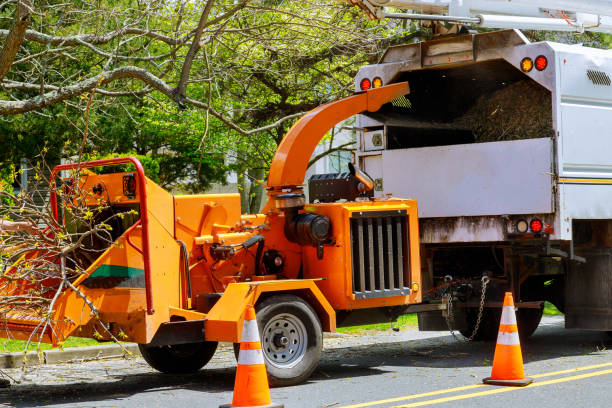  Hebron, PA Tree Removal and Landscaping Services Pros